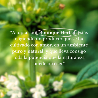 MINI HIDROLATO DE TORONJIL (100ml)