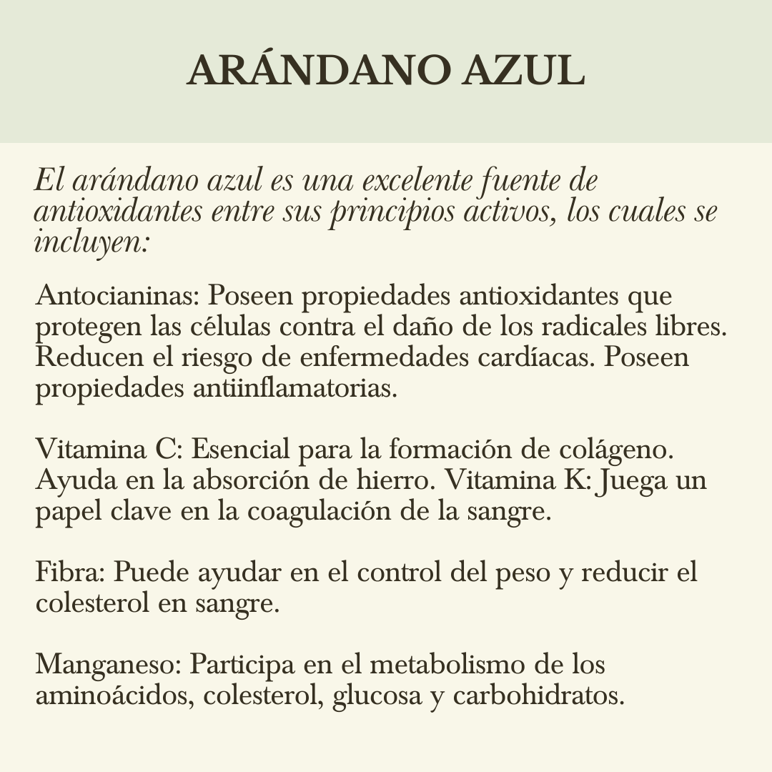 REFILL CONCENTRADO DE ARÁNDANO AZÚL