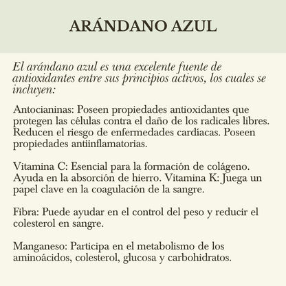 REFILL CONCENTRADO DE ARÁNDANO AZÚL