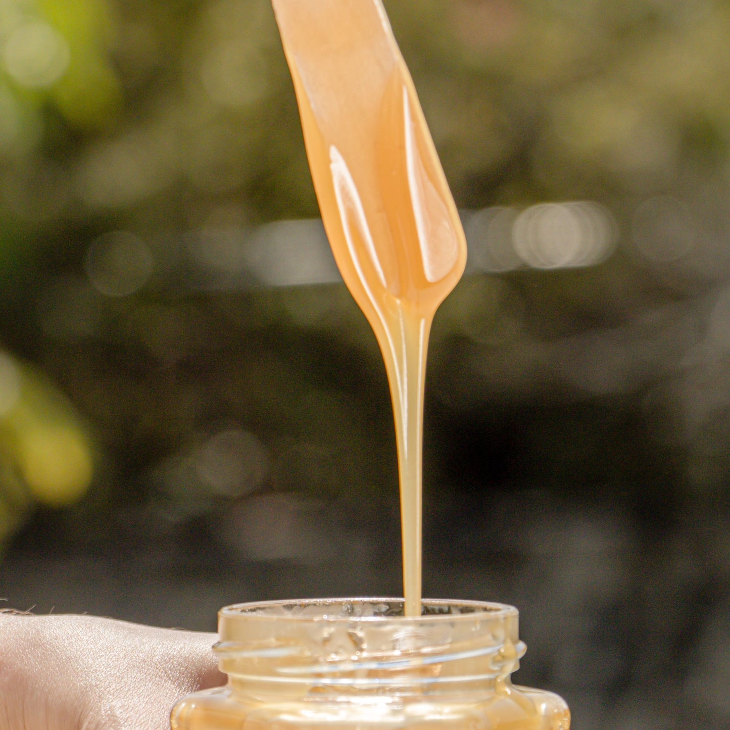 MIEL MANTEQUILLA ORGÁNICA