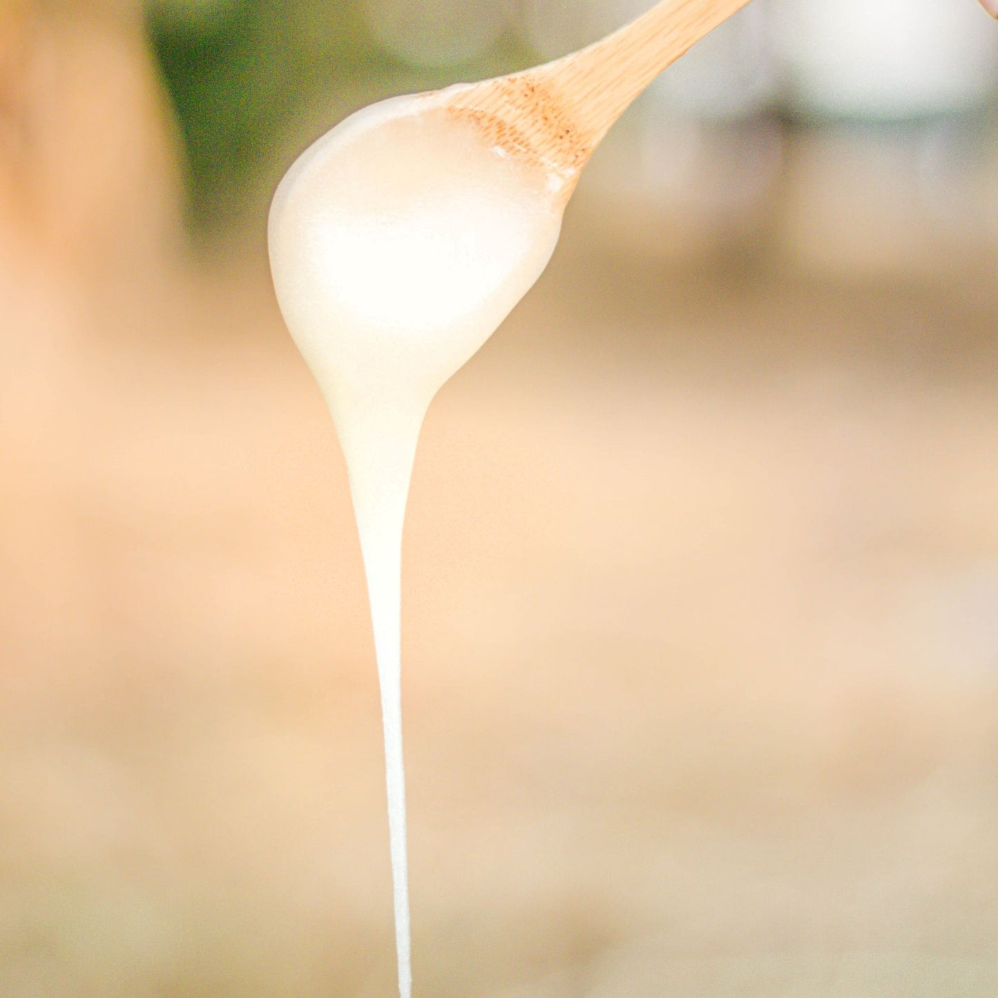 MIEL DE MEZQUITE ORGÁNICA