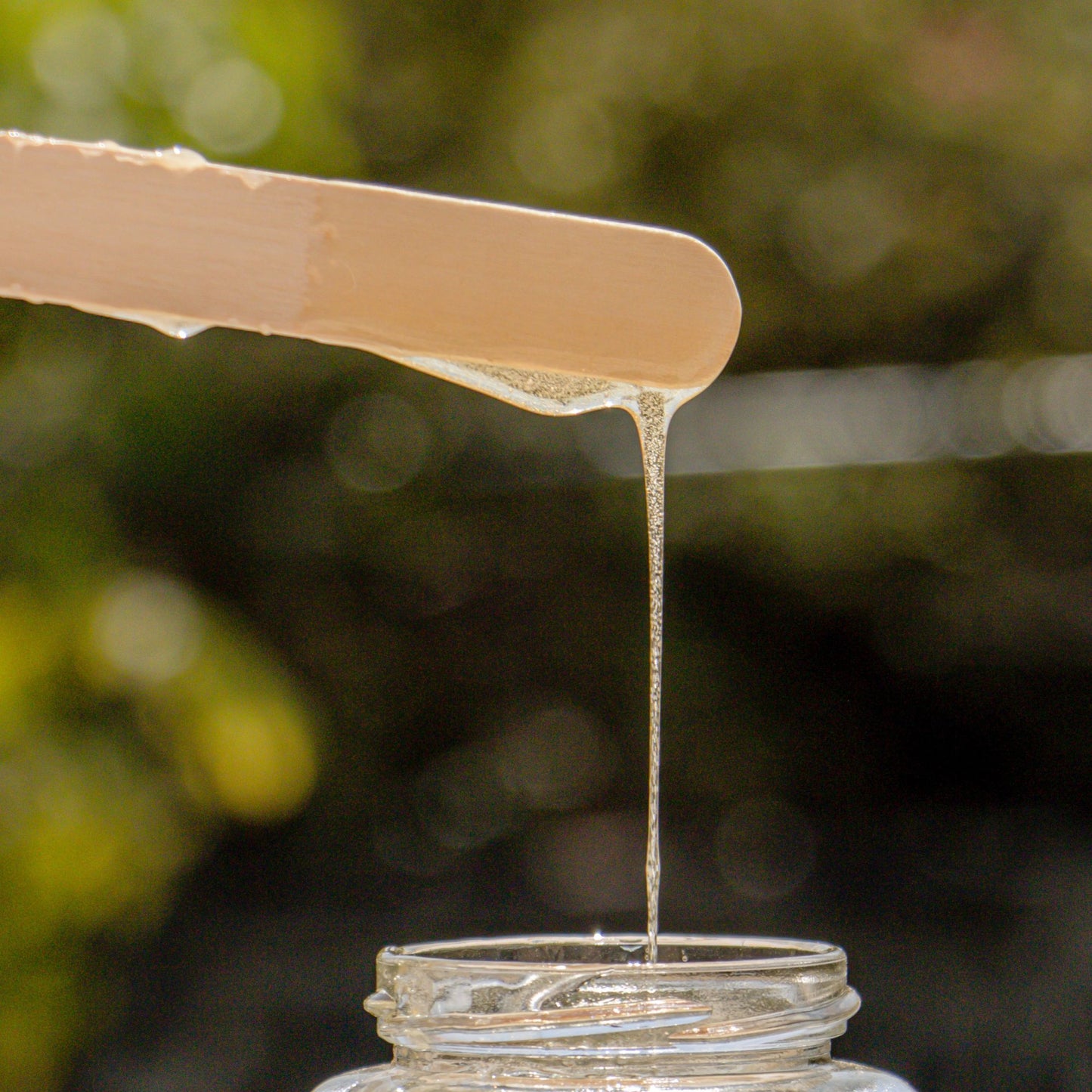 MIEL ORGÁNICA DE FLORACIÓN DE TEMPORADA