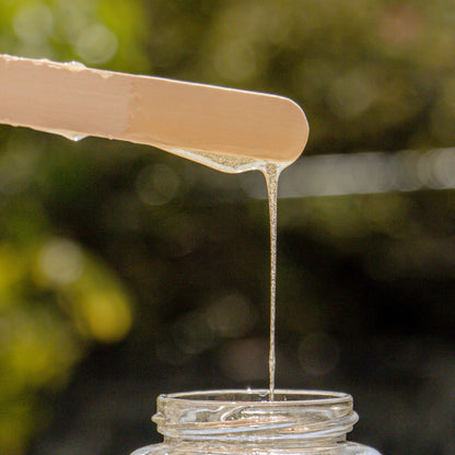 MIEL ORGÁNICA DE FLORACIÓN DE TEMPORADA