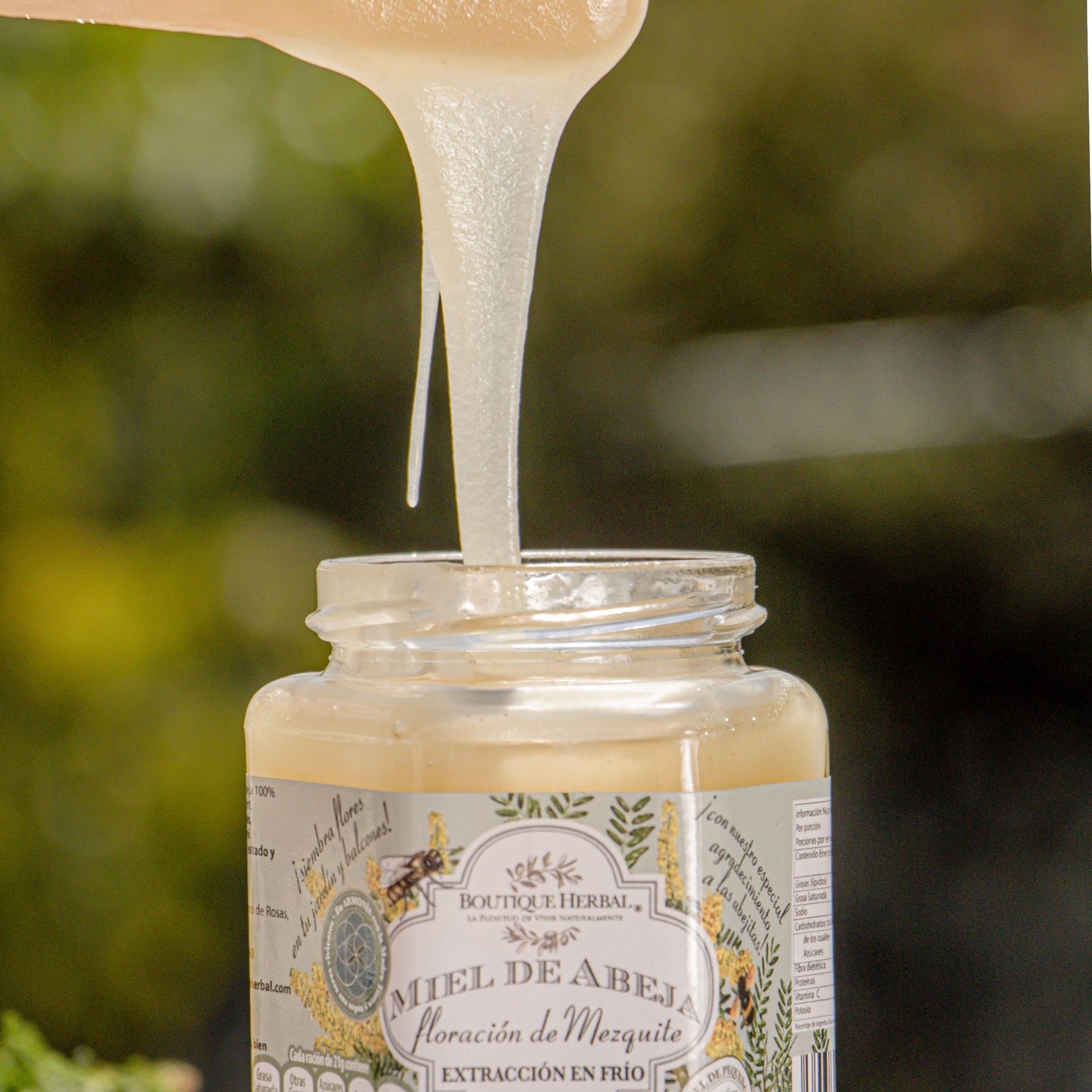 MIEL DE MEZQUITE ORGÁNICA