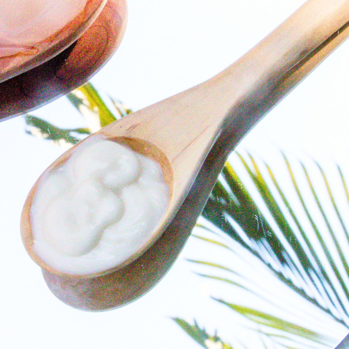 CREMA "PROTECCIÓN DIARIA" DE ALOE VERA