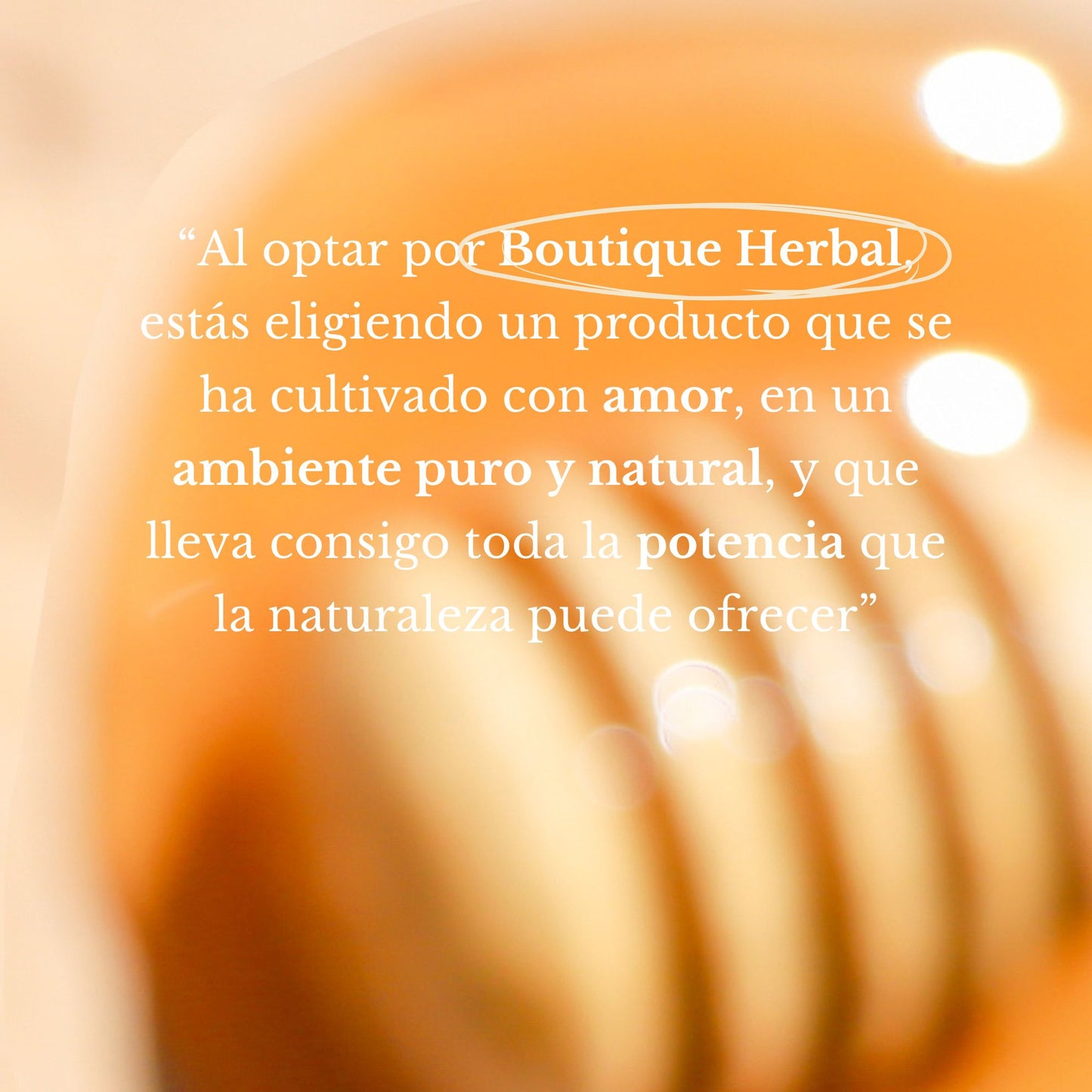 TINTURA DE PROPÓLEOS