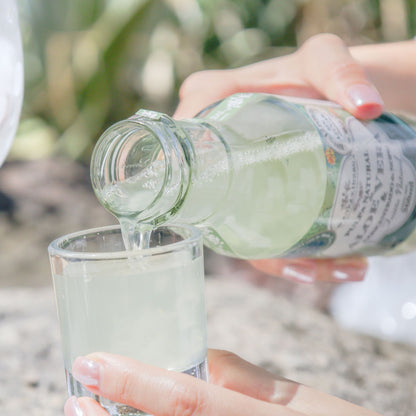 FUSIÓN: PULPA DE ALOE Y CONCENTRADO DE NOPAL