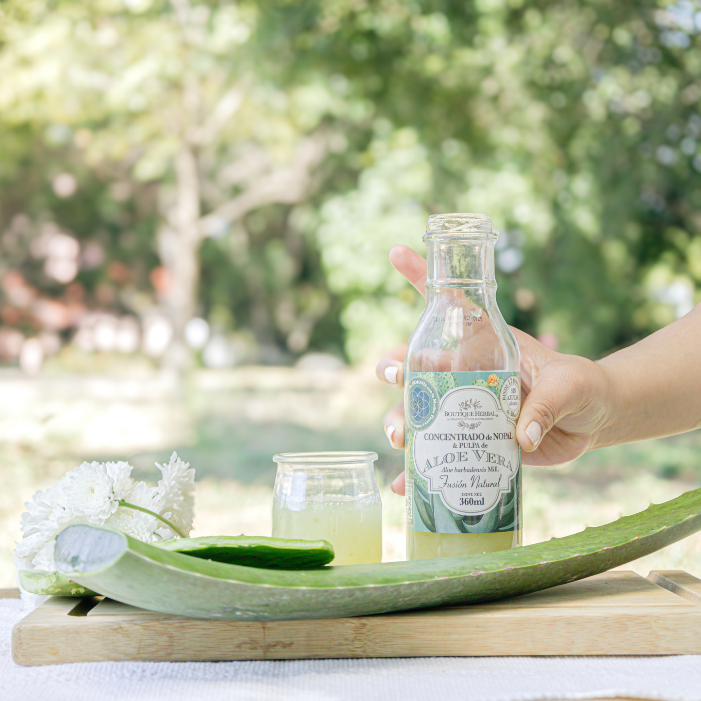 FUSIÓN: PULPA DE ALOE Y CONCENTRADO DE NOPAL