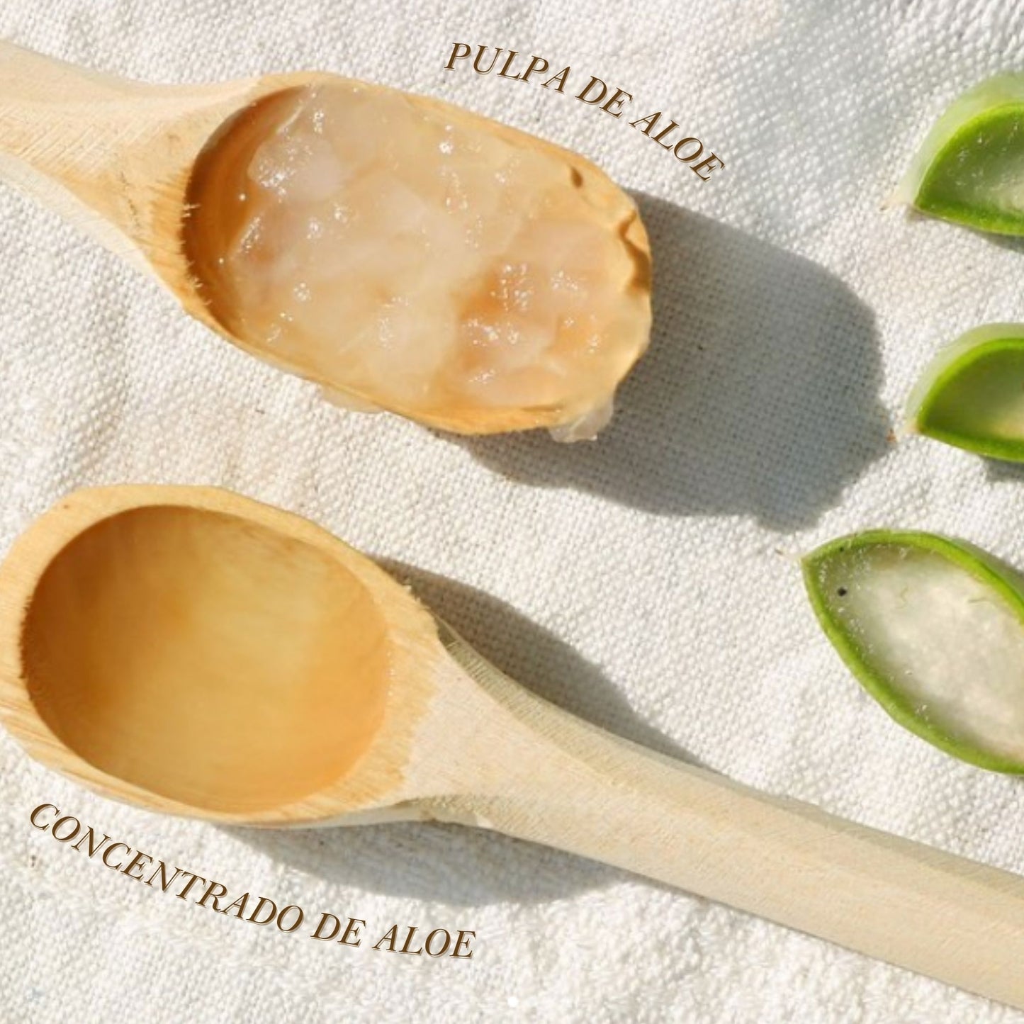 CONCENTRADO DE ALOE VERA NATURAL DE CULTIVOS MEXICANOS