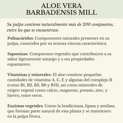 PULPA NATURAL DE ALOE VERA