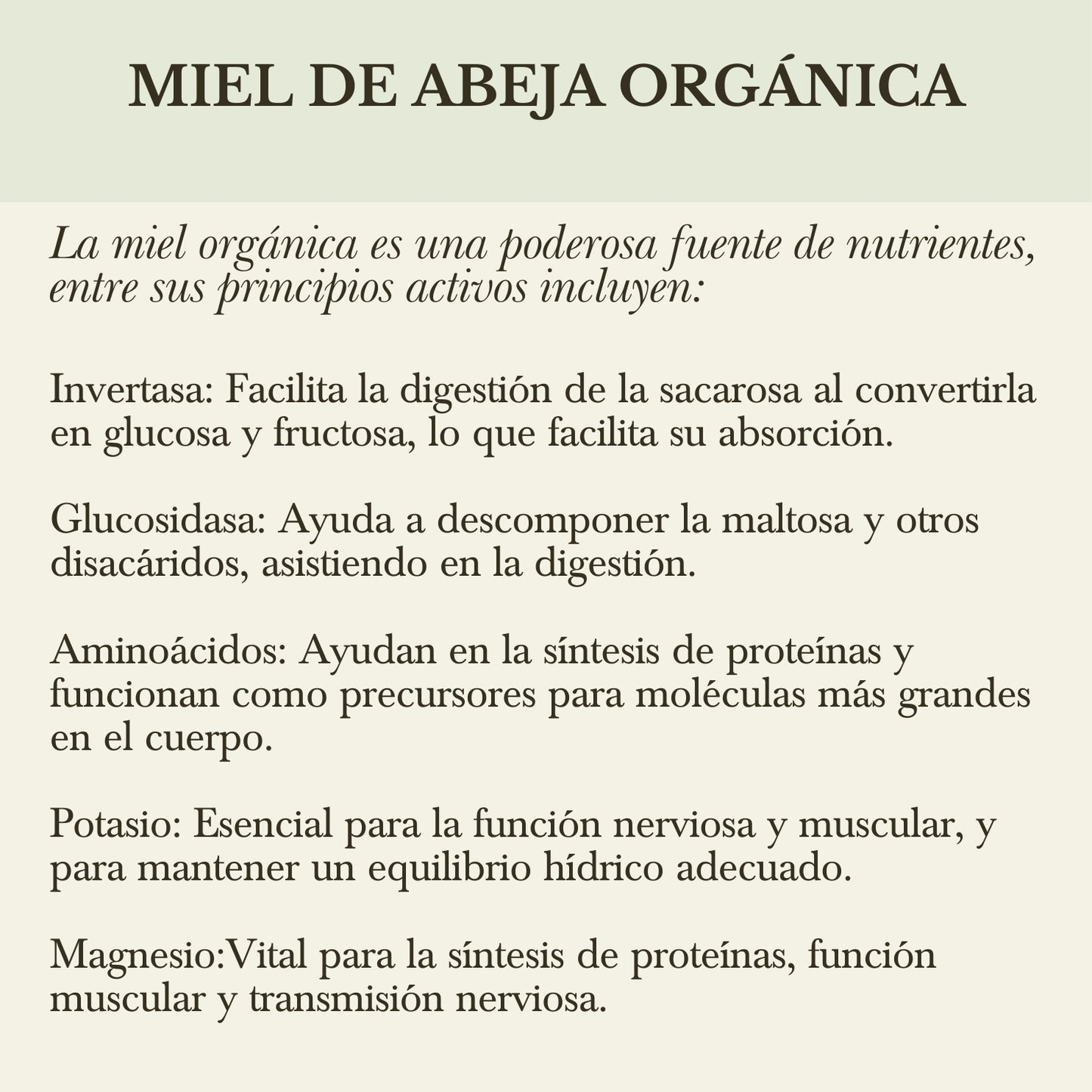 MIEL ORGÁNICA DE FLORACIÓN DE TEMPORADA