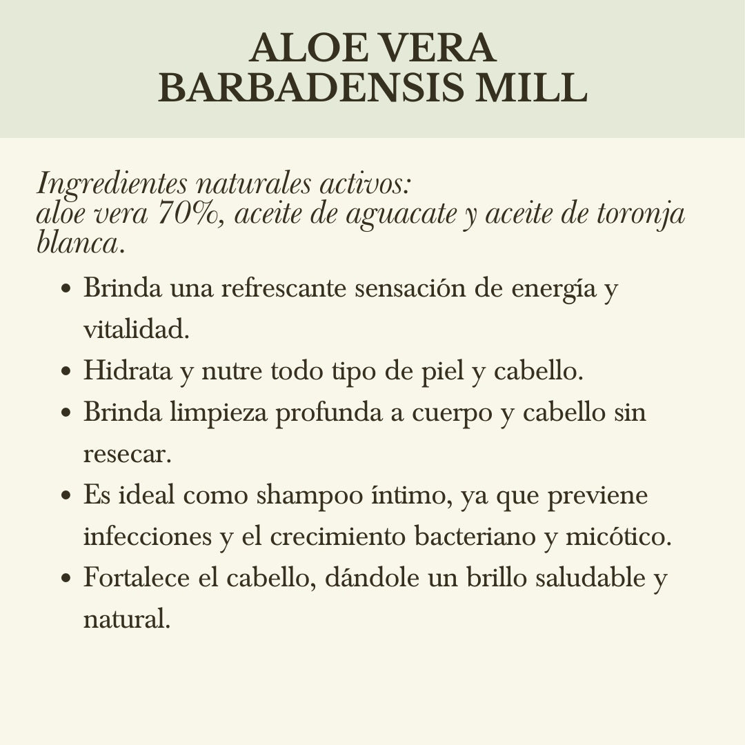 SHAMPOO DE ALOE VERA ORGÁNICO (CUERPO Y CABELLO)