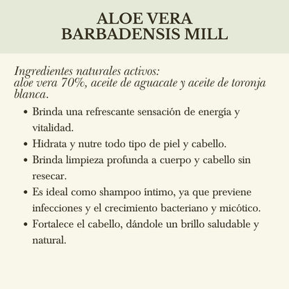 SHAMPOO DE ALOE VERA ORGÁNICO (CUERPO Y CABELLO)