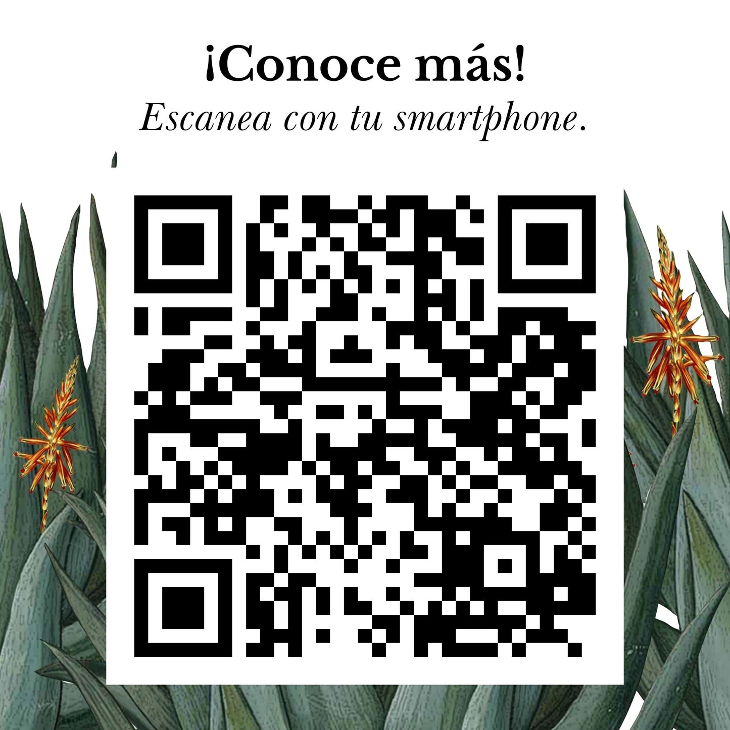 CONCENTRADO DE ALOE VERA NATURAL DE CULTIVOS MEXICANOS
