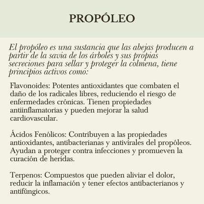 PROPÓLEOS ORGÁNICOS TINTURA