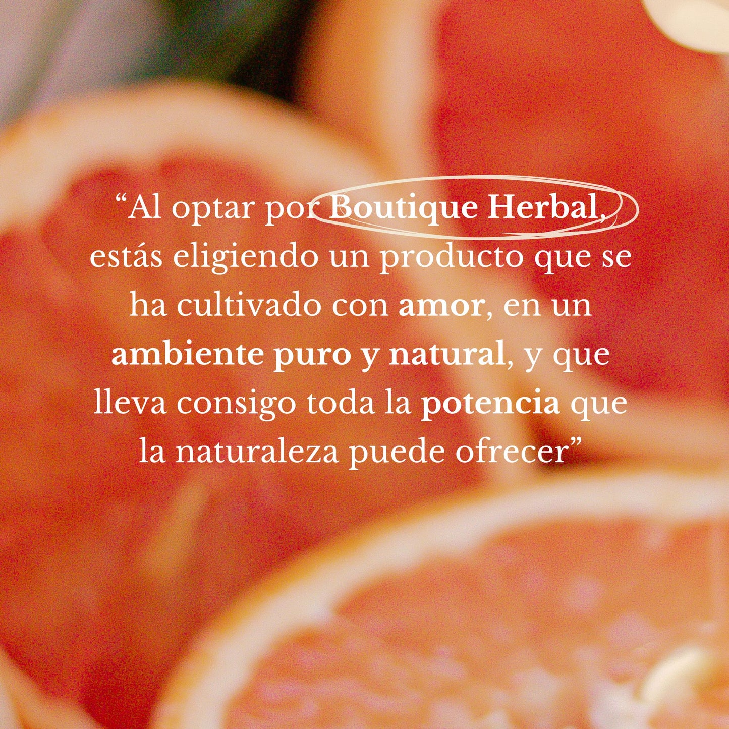 SHAMPOO DE ALOE VERA