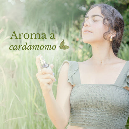 KIT BUEN FIN: Pulpa de aloe vera + Gel corporal + Hidrosuero facial