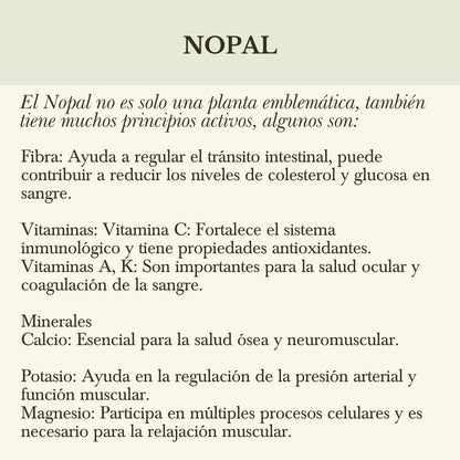 CONCENTRADO DE NOPAL