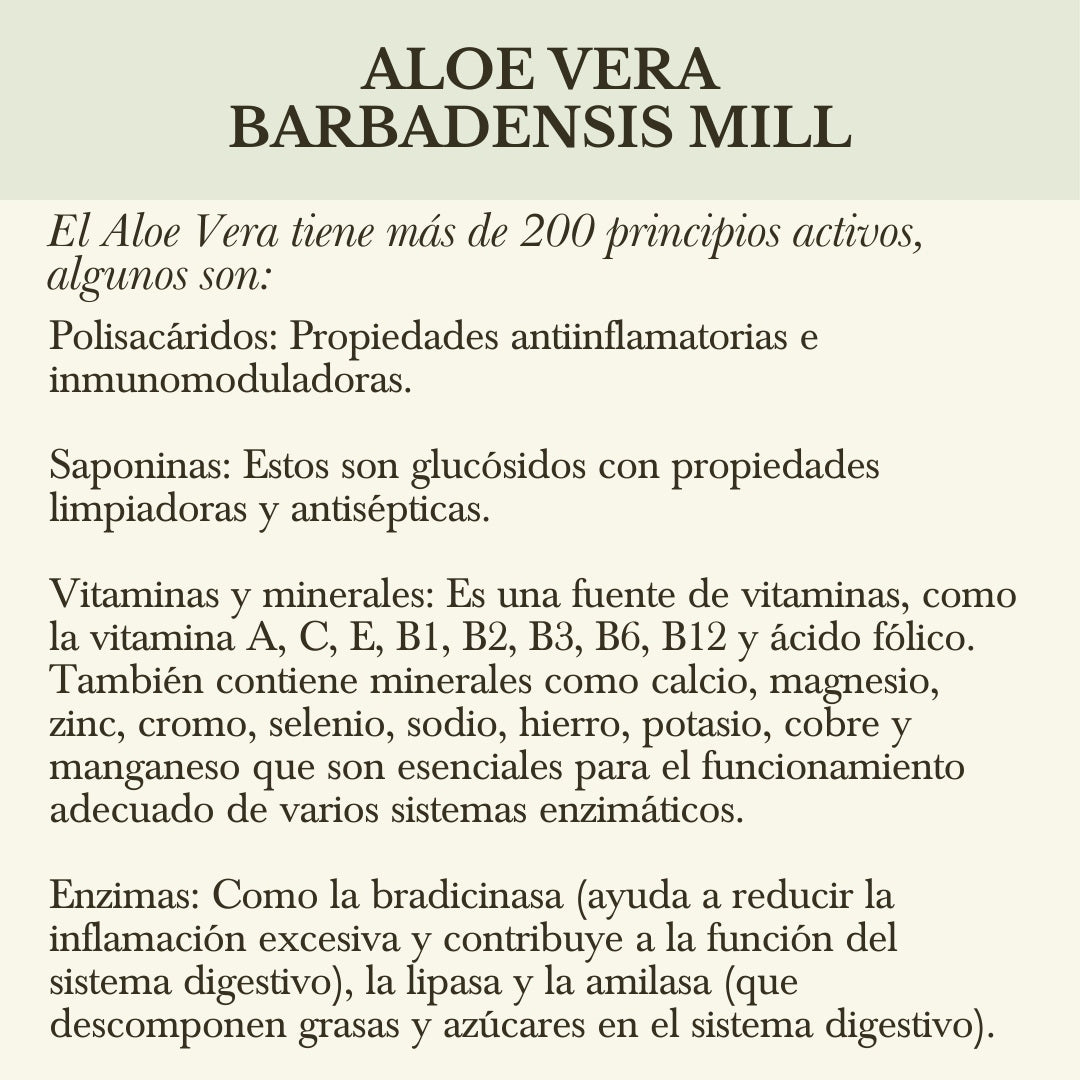 PULPA DE ALOE VERA COMESTIBLE ORGÁNICO
