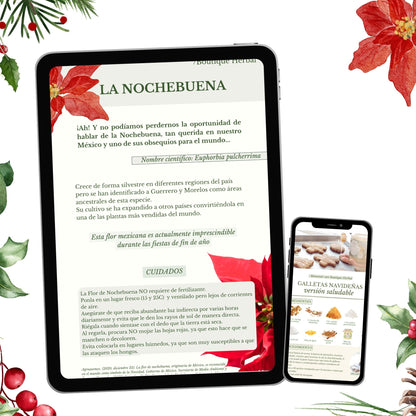 ¡EBOOK NAVIDEÑO GRATIS!