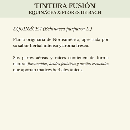 TINTURA FUSIÓN EQUINÁCEA