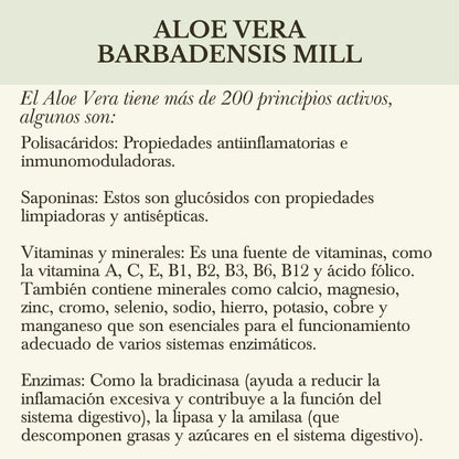 FUSIÓN: PULPA DE ALOE Y CONCENTRADO DE NOPAL