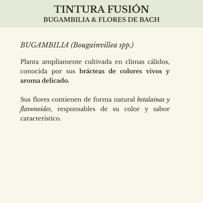TINTURA FUSIÓN BUGAMBILIA