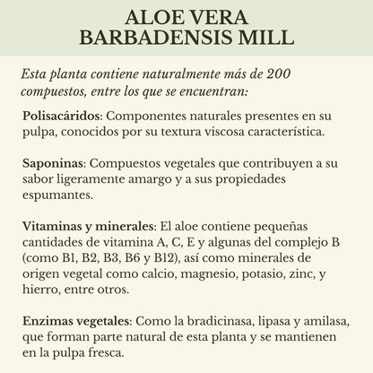 FUSIÓN: PULPA DE ALOE Y CONCENTRADO DE PERA