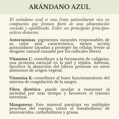 FUSIÓN: PULPA DE ALOE Y CONCENTRADO DE ARÁNDANO