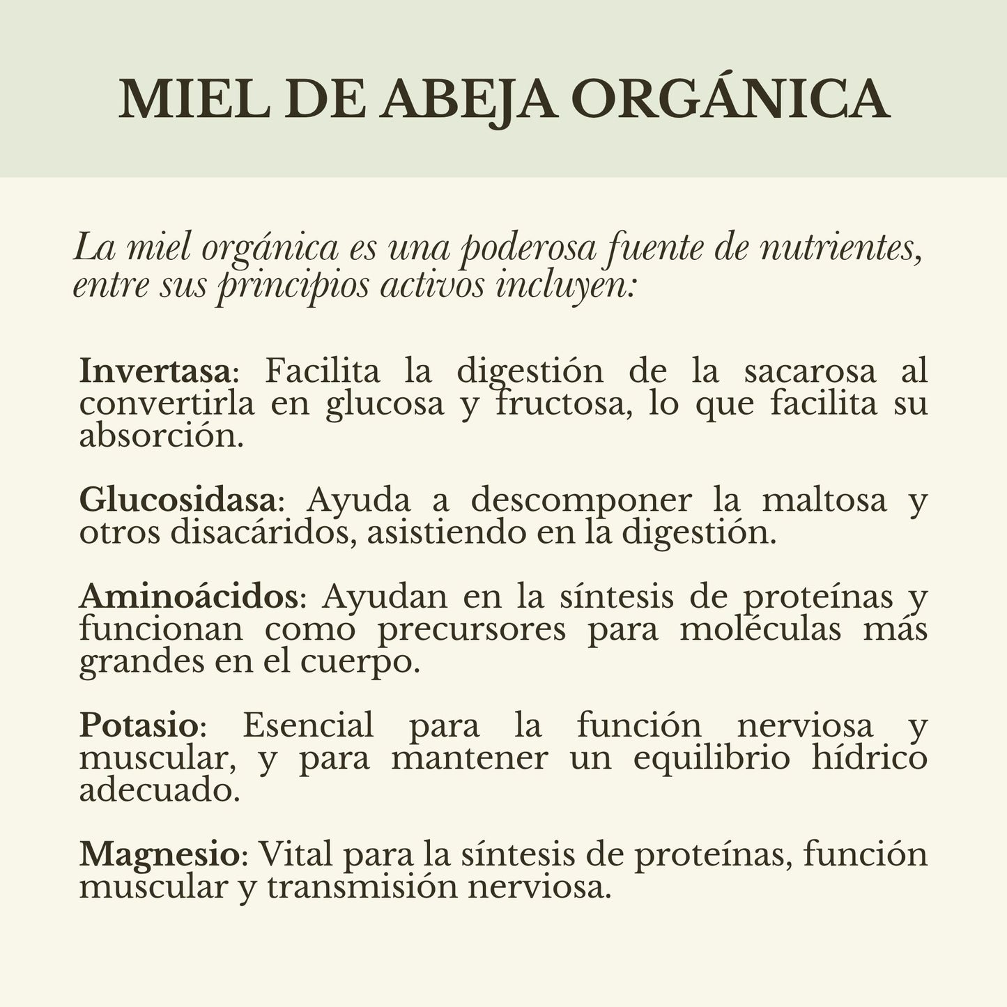 MIEL ORGÁNICA DE FLORACIÓN DE TEMPORADA