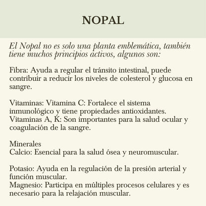 FUSIÓN: PULPA DE ALOE Y CONCENTRADO DE NOPAL