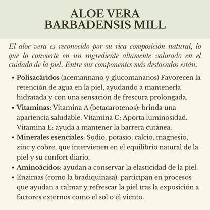 GEL HIDRO-REFRESCANTE DE ALOE VERA CORPORAL