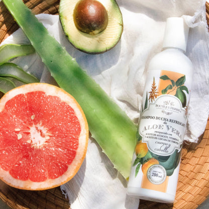 SHAMPOO DE ALOE VERA ORGÁNICO (CUERPO Y CABELLO)