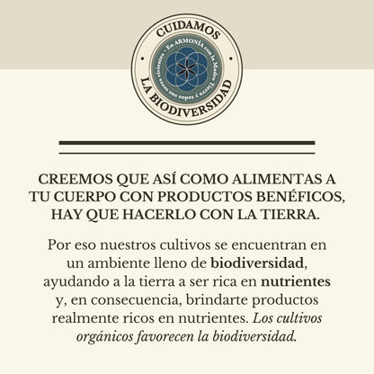 KIT BIENESTAR MEXICANO