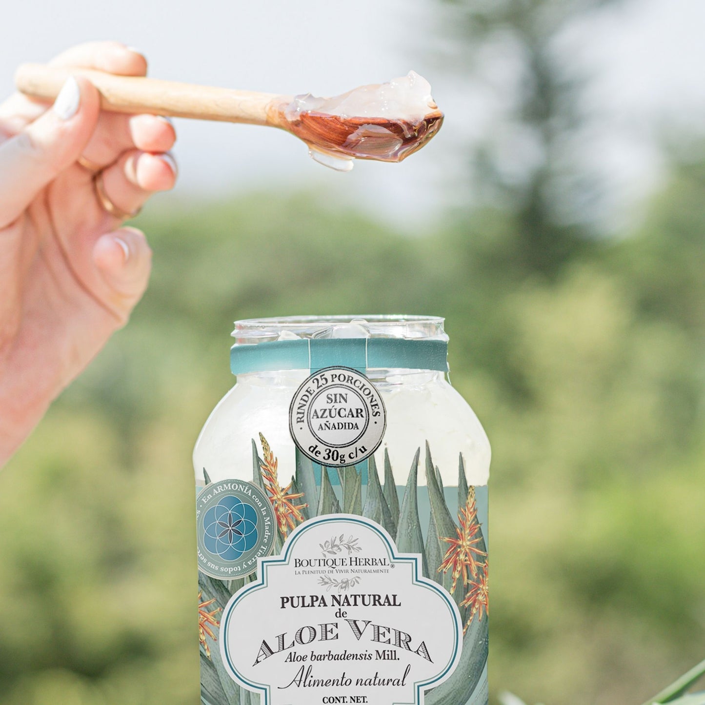 KIT BUEN FIN: Pulpa de aloe vera + Gel corporal + Hidrosuero facial