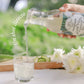 a. KIT 4 CONCENTRADOS DE ALOE VERA ORGÁNICO