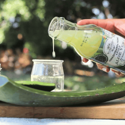 FUSIÓN: PULPA DE ALOE Y CONCENTRADO DE NOPAL