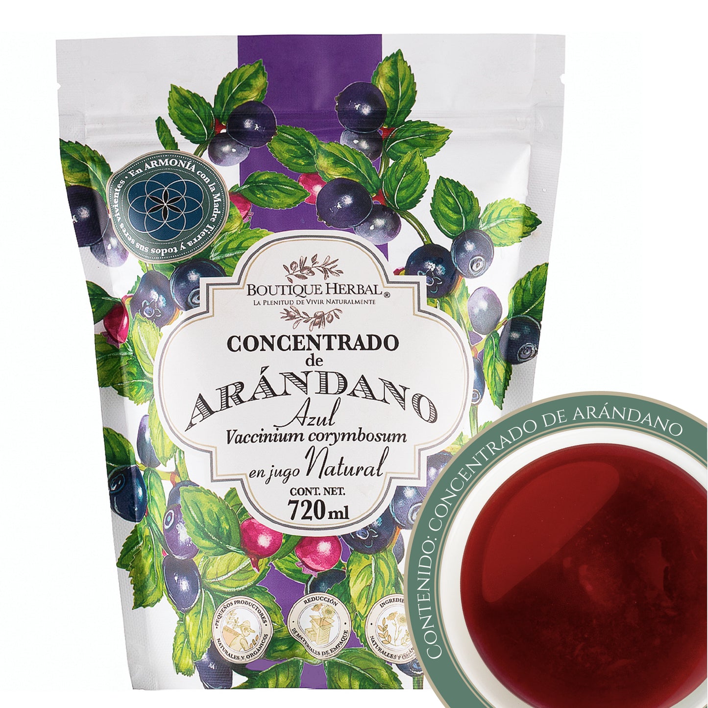 REFILL CONCENTRADO DE ARÁNDANO AZÚL
