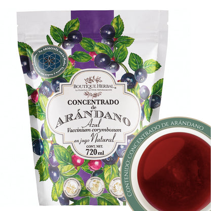REFILL CONCENTRADO DE ARÁNDANO AZÚL