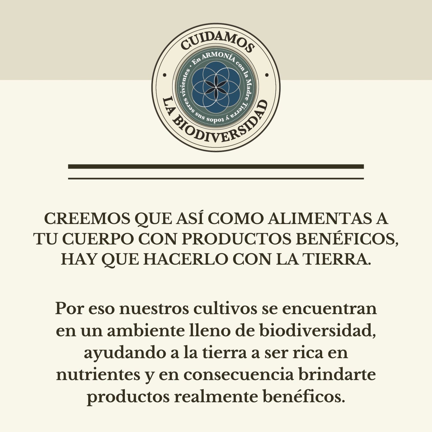 PULPA DE ALOE VERA COMESTIBLE ORGÁNICO