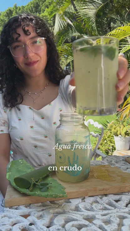 FUSIÓN: PULPA DE ALOE Y CONCENTRADO DE NOPAL