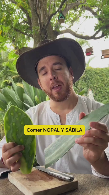 FUSIÓN: PULPA DE ALOE Y CONCENTRADO DE NOPAL