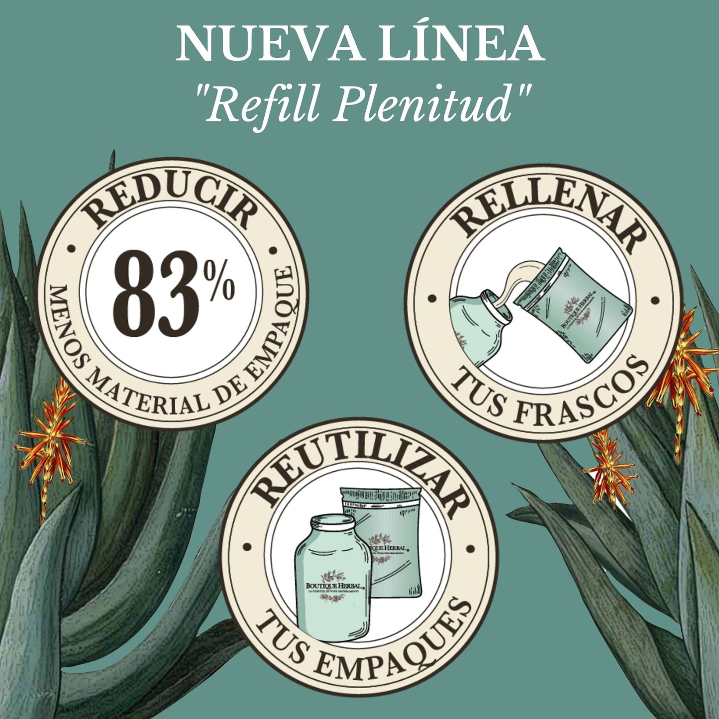 A. REFILL PULPA DE ALOE VERA ORGÁNICO