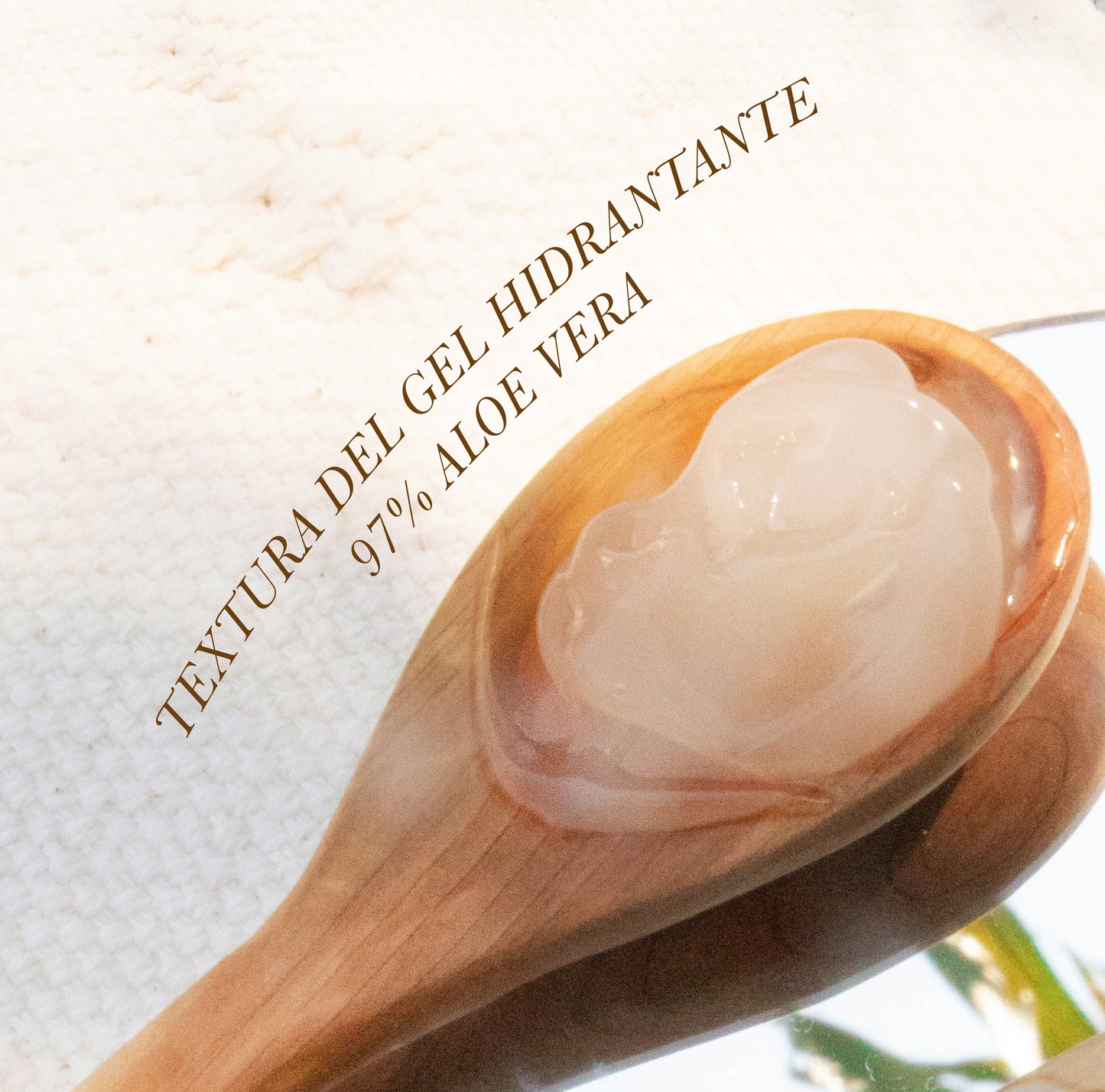 GEL DE ALOE VERA ORGÁNICO HIDRATANTE (CORPORAL)