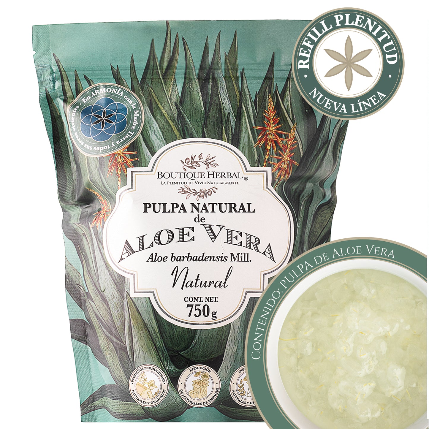 A. REFILL PULPA DE ALOE VERA ORGÁNICO