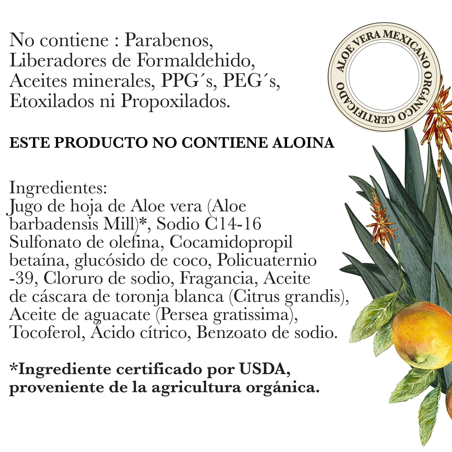 SHAMPOO DE ALOE VERA ORGÁNICO (CUERPO Y CABELLO)