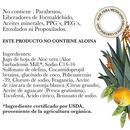 SHAMPOO DE ALOE VERA ORGÁNICO (CUERPO Y CABELLO)
