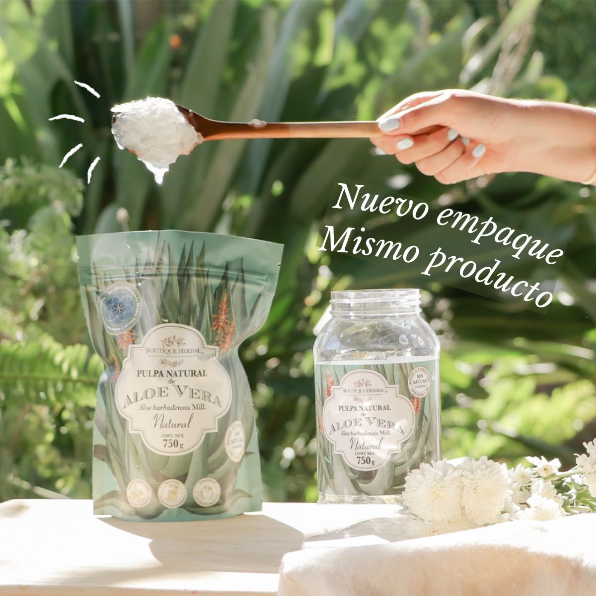 A. REFILL PULPA DE ALOE VERA ORGÁNICO