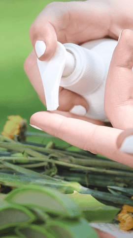 GEL DE ALOE VERA ORGÁNICO HIDRATANTE (CORPORAL)