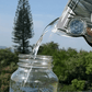 A. REFILL CONCENTRADO DE ALOE VERA ORGÁNICO